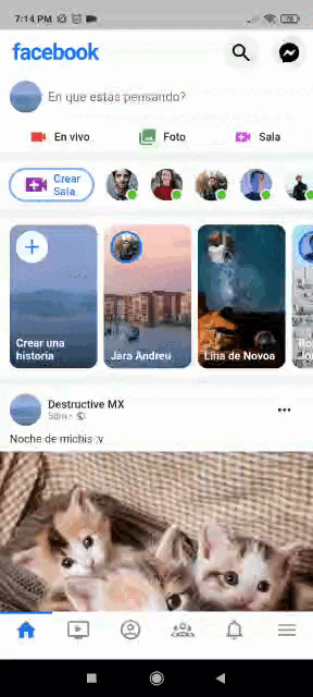 Flutter App